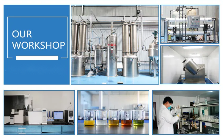 1714013076264417.png workshop.png