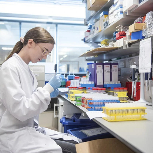 1723532608901733.jpg 500x500-4.jpg