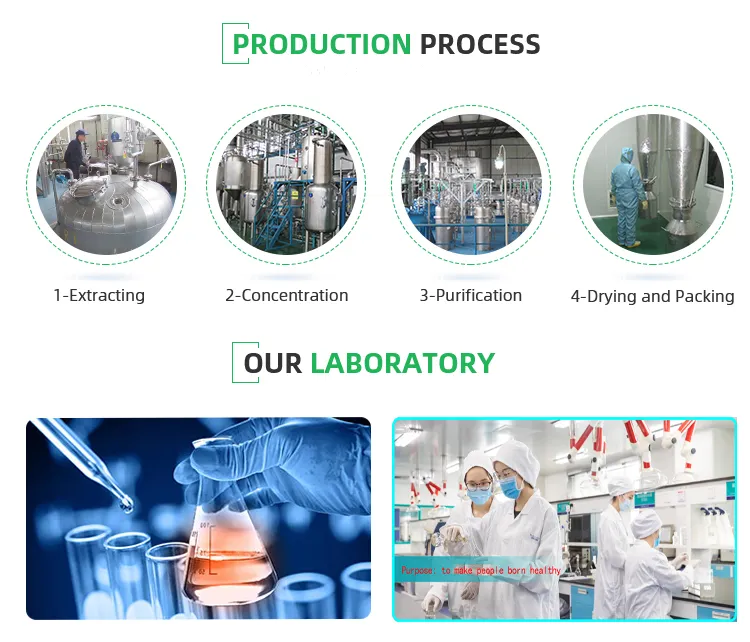 1723604413818700.png 生产研发.png