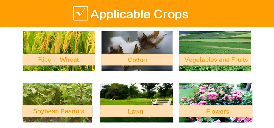 1759028604405215.png 2576499d8b4e0ac24dde187ca07f59b(1).png