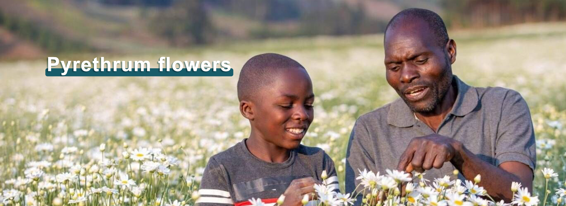 1759028697695409.jpg 1.jpg