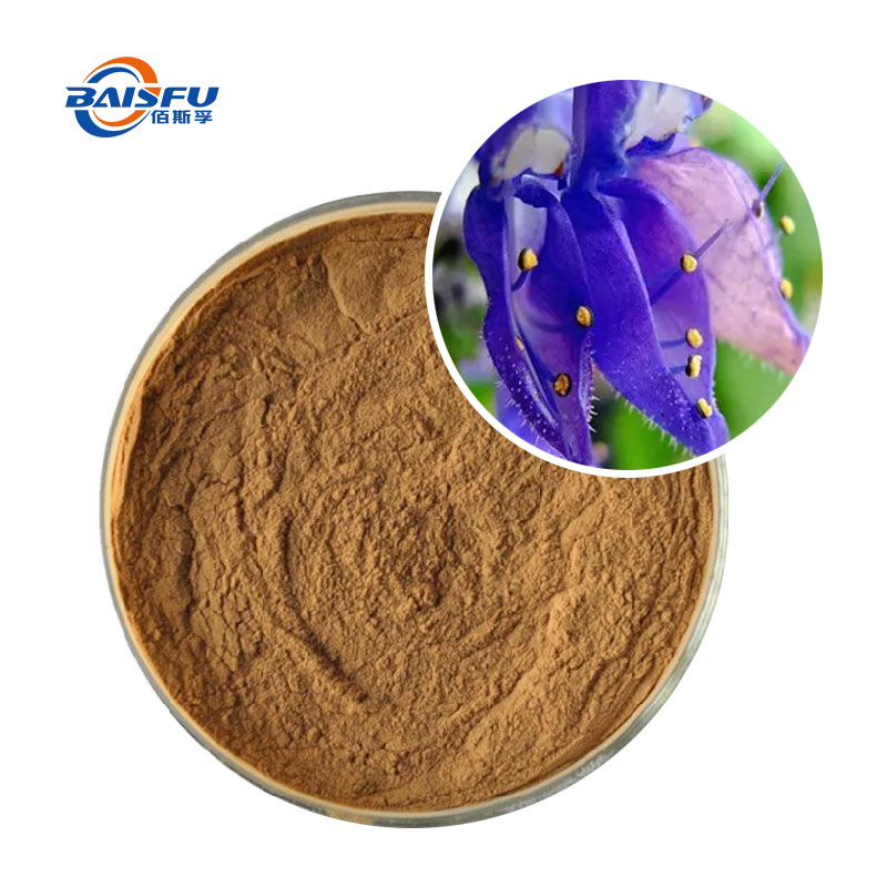 Forskohlii Extract Powder Natural Coleus 10% Purity CAS:66575-29-9 Forskolin