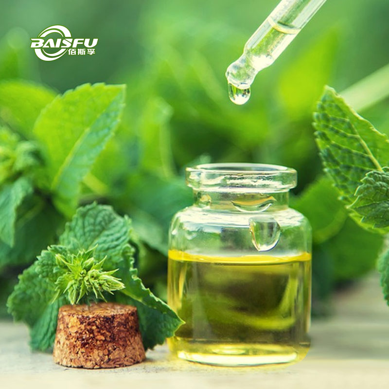 Shaanxi Baisifu Biotech Ignites Flavor Innovation with Premium Peppermint Oil