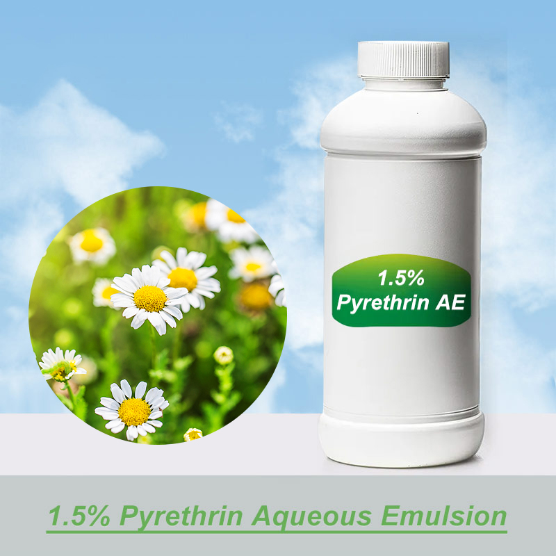 1.5% Pyrethrin Aqueous Emulsion Is a Formulation of Pyrethrin Used for Pest