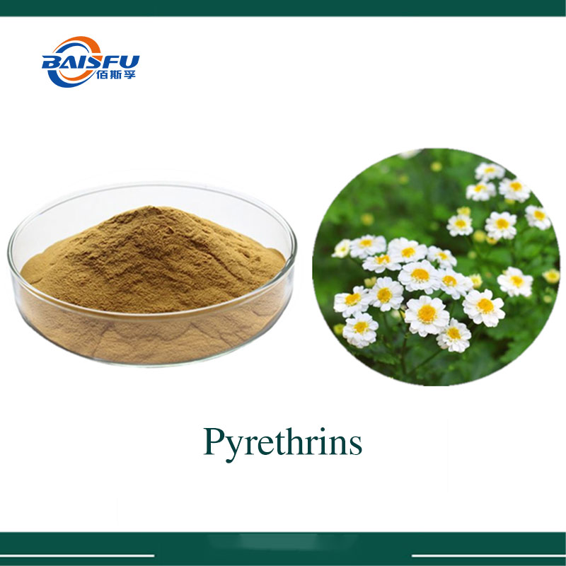 1% Pyrethrin  powder Used to control a wide range of pests, including aphids, beetles, caterpillars Pyrethrum was a genus of several Old World plants now classified in either Chrysanthemum or Tanacetum which are cultivated as ornamentals for their showy f