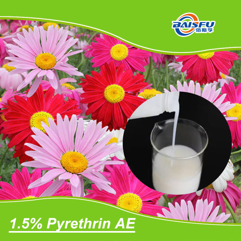1.5% Pyrethrin Aqueous Emulsion Is a Formulation of Pyrethrin Used for Pest