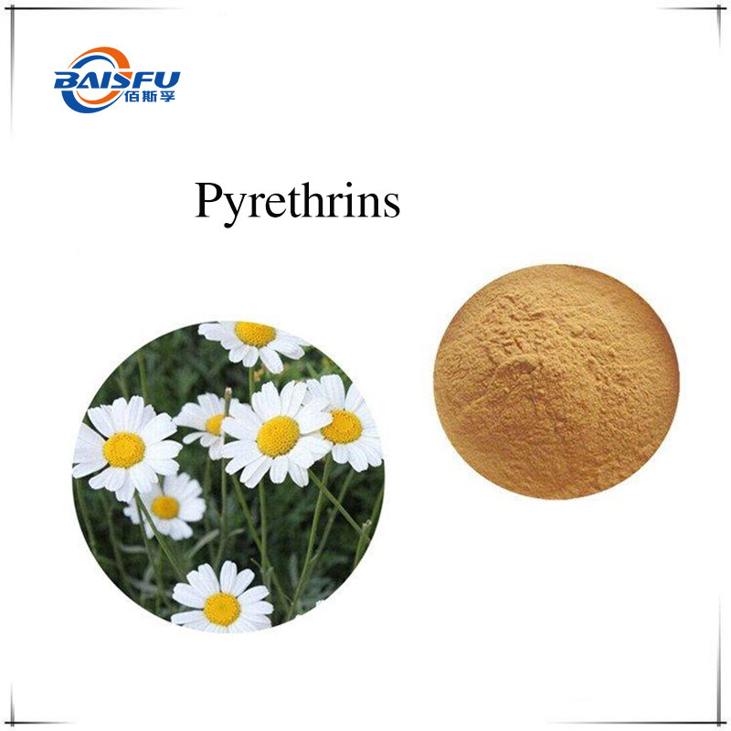 1% Pyrethrin Flavone Powder