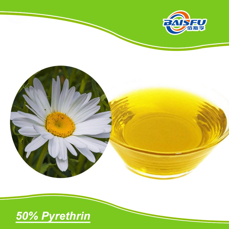 Pyrethrin 50% CAS:8003-34-7