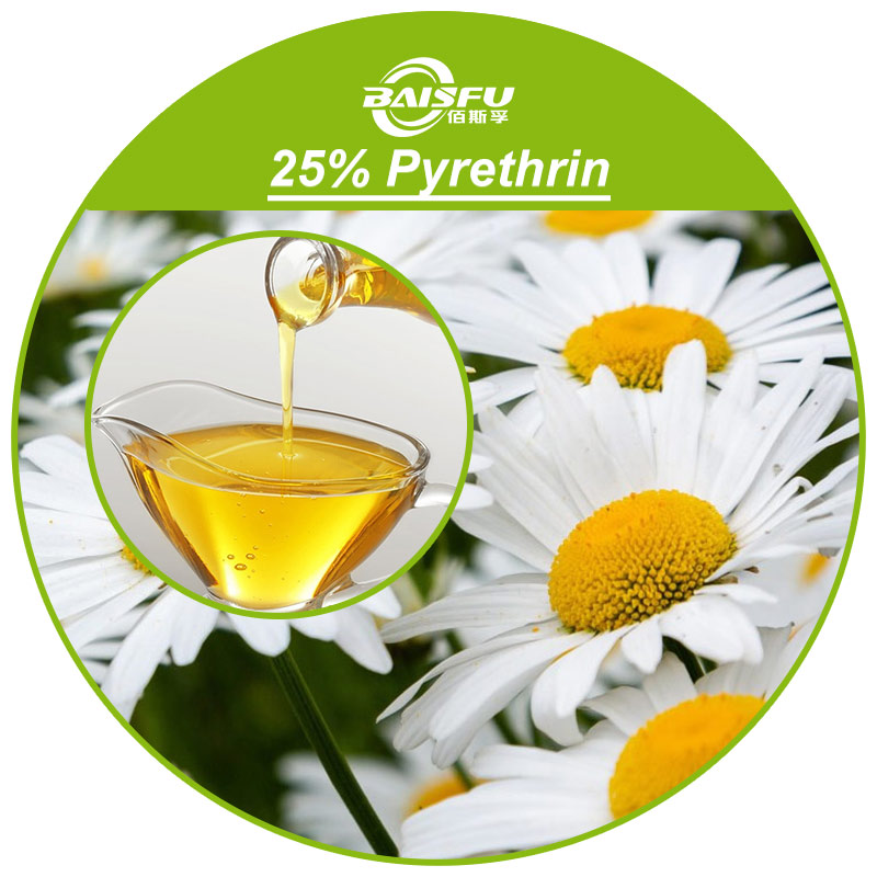 25% Pyrethrin Liquid CAS: 8003-34-7 Used to Control